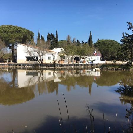 Mas De La Pie Villa Saintes-Maries-de-la-Mer Exteriör bild